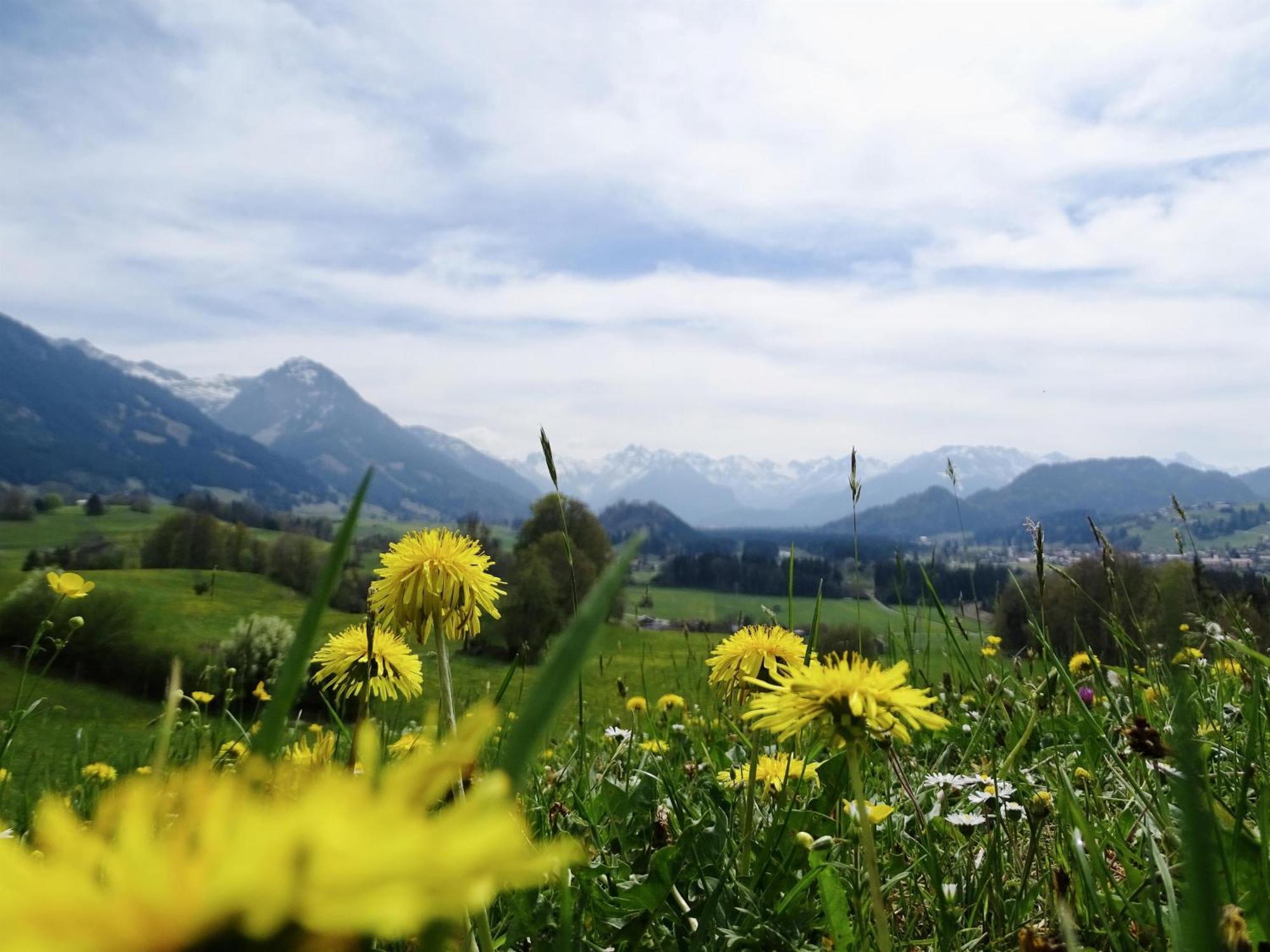 Gaestehaus Koch Fischen im Allgaeu Zewnętrze zdjęcie